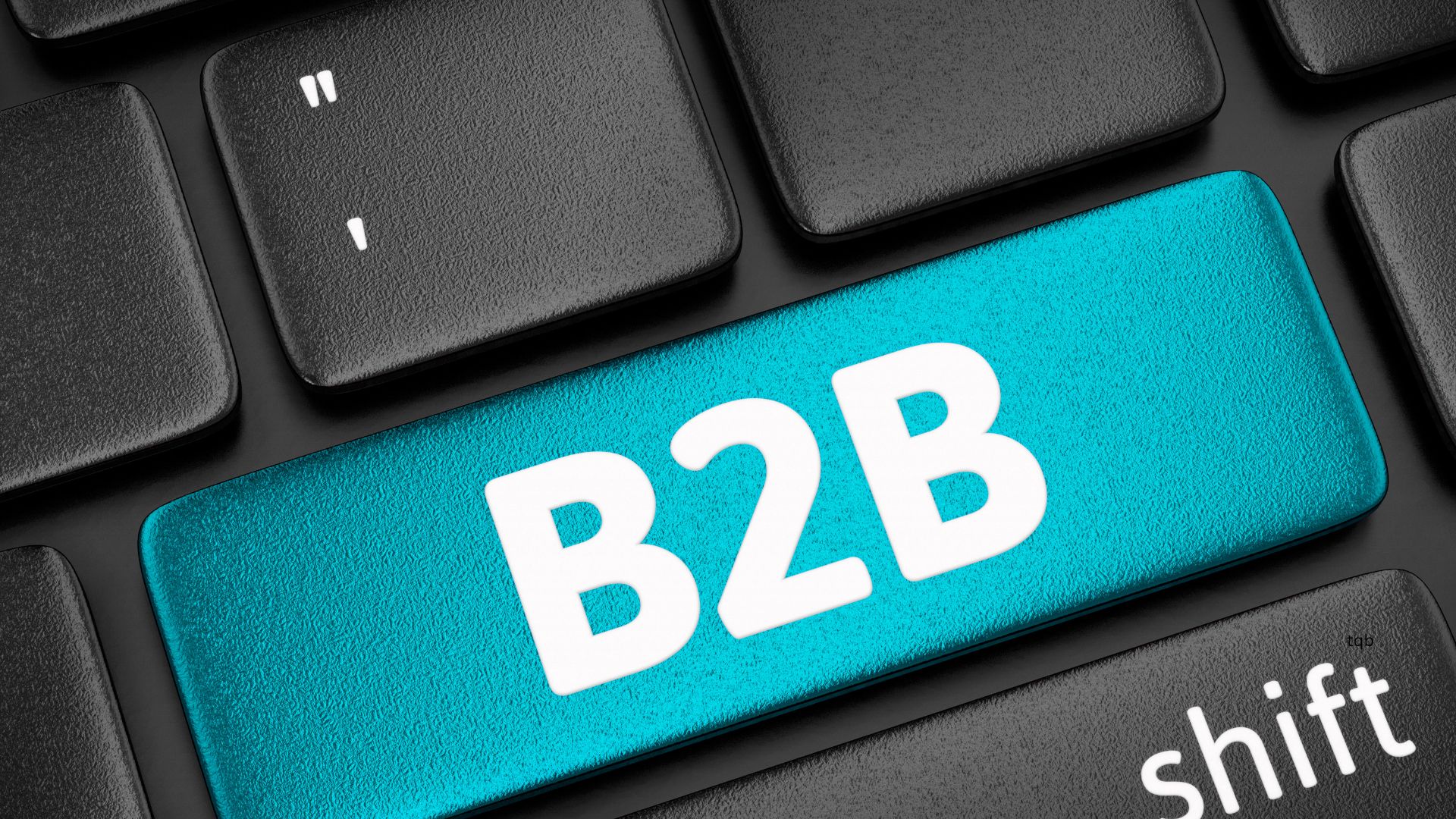 Website Development Agency for B2B Companies in Mumbai