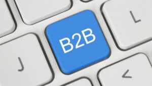 SEO Agency for B2B Companies in India